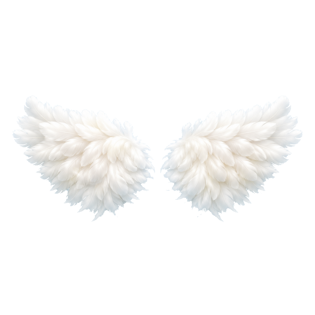 Wingspan Learning logo